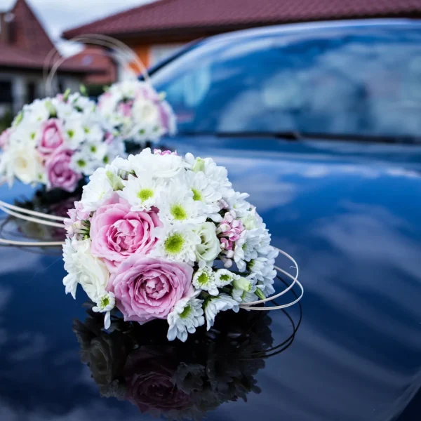 SF Autonoleggio NCC Torino conducente per matrimoni eventi civili e funebri