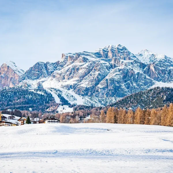 Olimpiadi Invernali 2026 Ncc